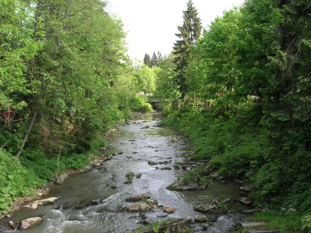 Příroda nedaleko apartmánu