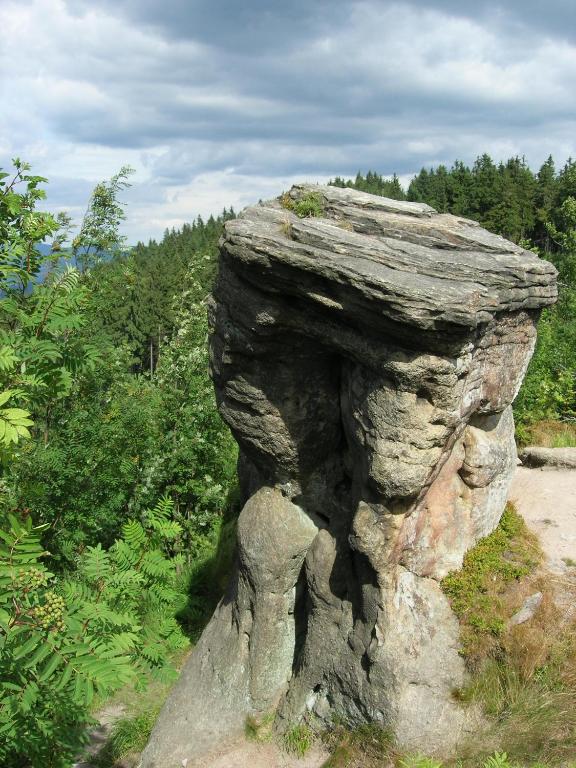 Příroda nedaleko apartmánu