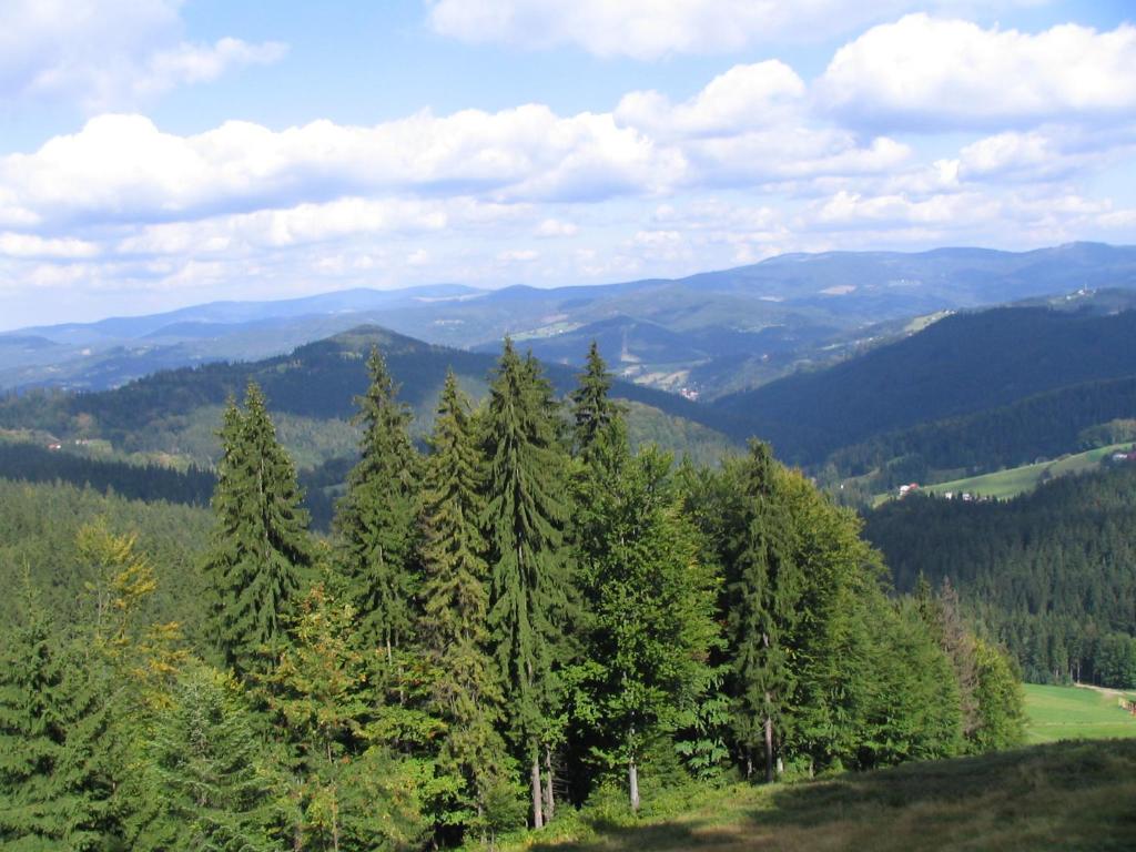 Příroda nedaleko apartmánu