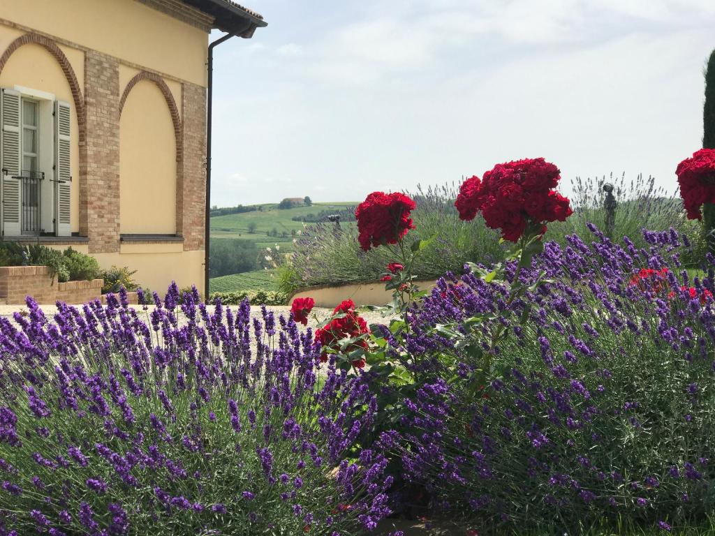 Vonkajšia záhrada v ubytovaní NaturalMente Wine Resort