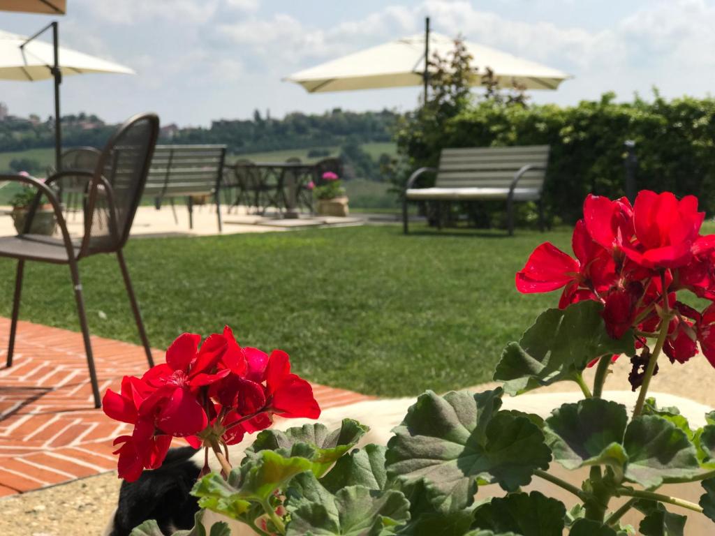 Vonkajšia záhrada v ubytovaní NaturalMente Wine Resort
