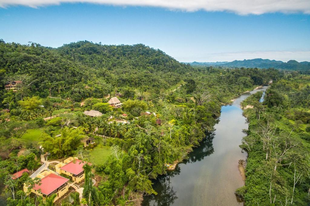
a scenic view of a river with palm trees at Sleeping Giant Rainforest Lodge in Belmopan
