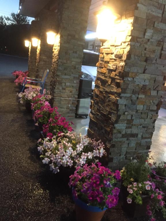 Zahrada ubytování Riverside Motel Cache Creek