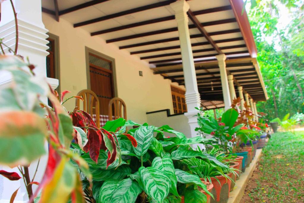 Zahrada ubytování Sigiri Anu Homestay