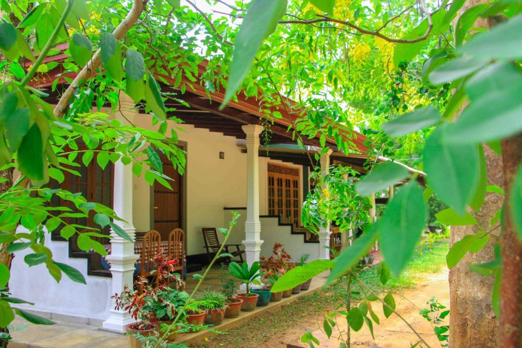 Zahrada ubytování Sigiri Anu Homestay