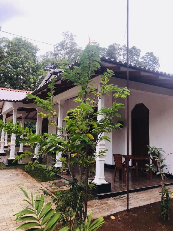 Zahrada ubytování Pidurangala Villas