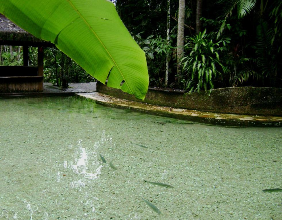  Pousada Jardim da Amazônia