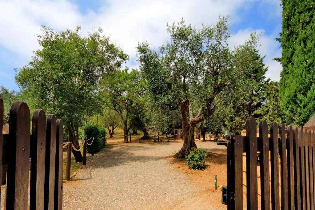 a wooden fence with a tree behind it at Agriturismo Pimpinnacolo in Porto Ercole