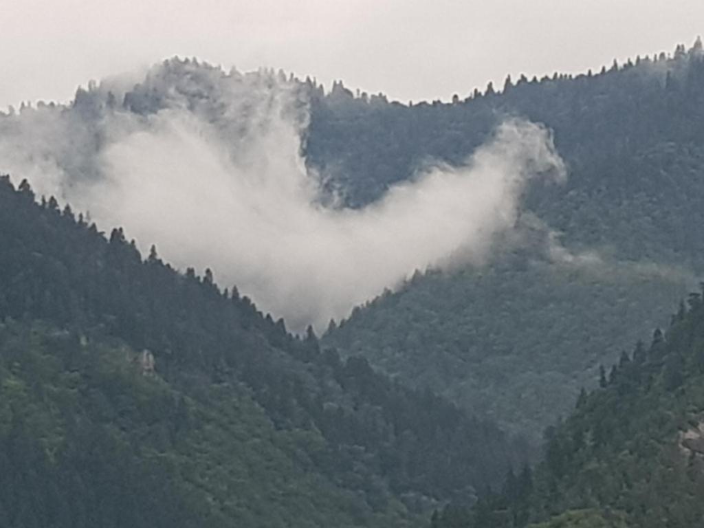 un valle nebuloso en medio de una montaña en zeiko s guesthouse, en Borjomi
