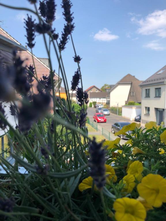 Ein Haufen gelber Blumen im Garten. in der Unterkunft Apartment Köln Ensen in Köln