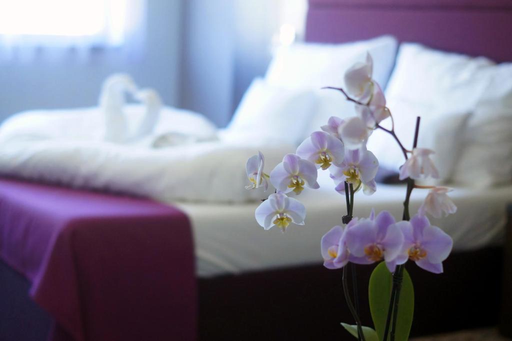 un vase de fleurs violettes devant un canapé dans l'établissement Hotel Fitromax Ajka, à Ajka