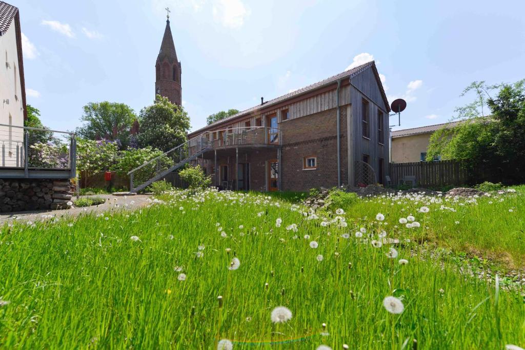 un campo de hierba frente a un edificio en Dreigärten Brodowin, en Brodowin