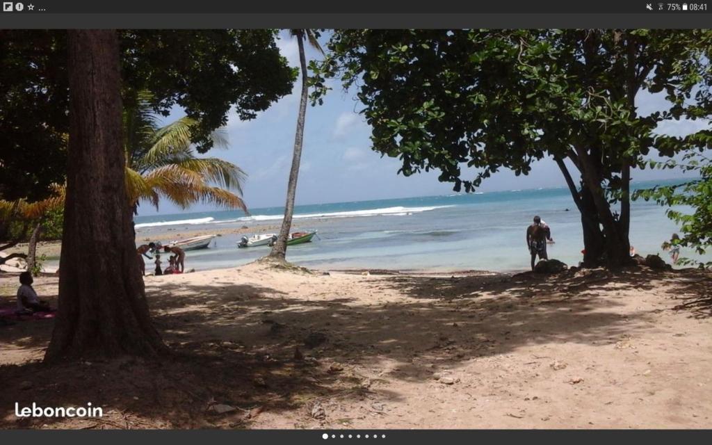 un hombre parado en una playa junto al océano en Appartement les pieds dans l'eau, en Le Gosier