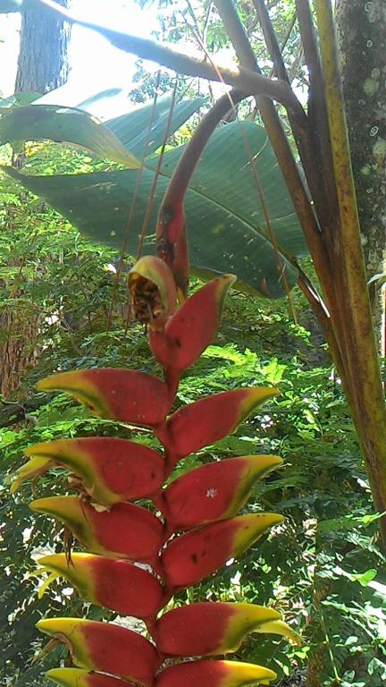  Chalé Rancho Aratama
