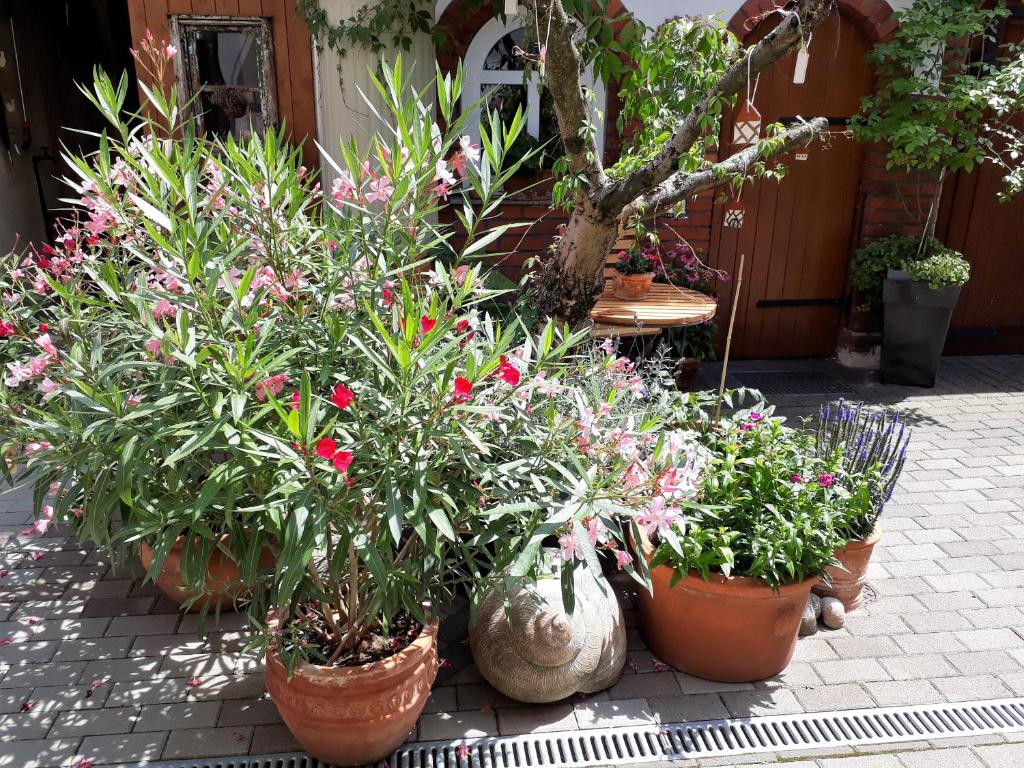 Apartment Zeitreise - Departamento