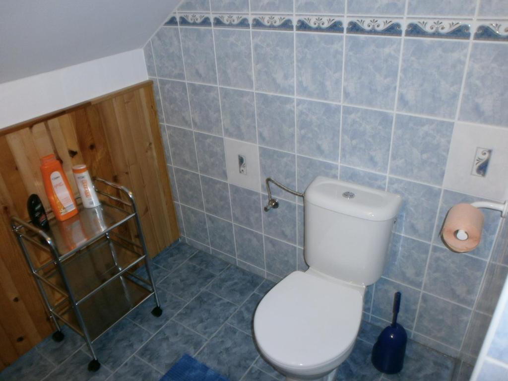 Koupelna v ubytování Apartman Hrabice