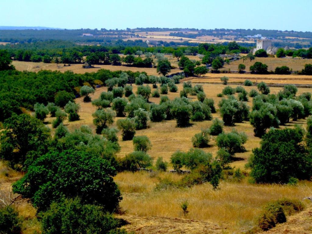 Paesaggio naturale nelle vicinanze del resort