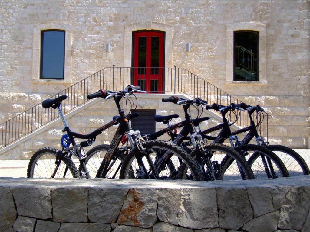 Attività di ciclismo presso il resort o nelle vicinanze