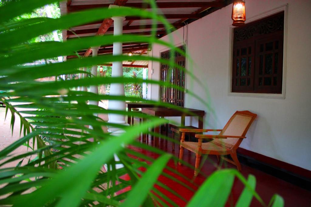 a room with a staircase with a chair and a plant at Sigiriya Lahiru Homestay in Sigiriya