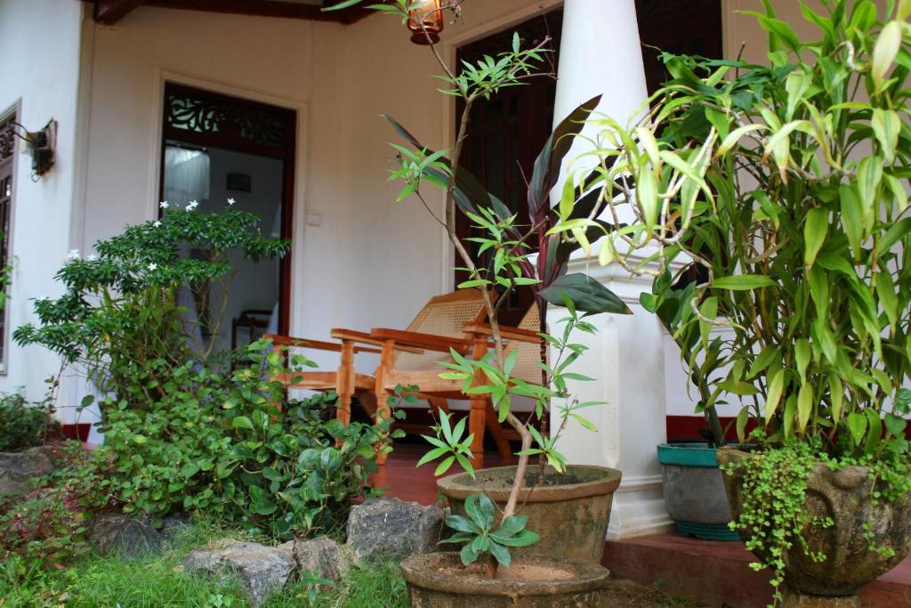 Zahrada ubytování Sigiriya Lahiru Homestay