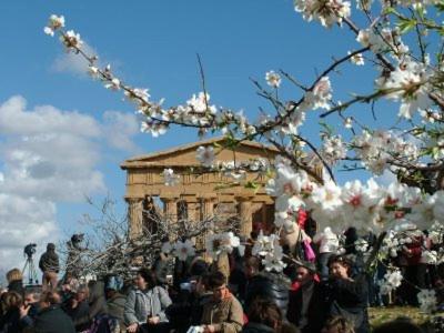 Fotografie z fotogalerie ubytování Villa Contino v destinaci Villaggio Mose