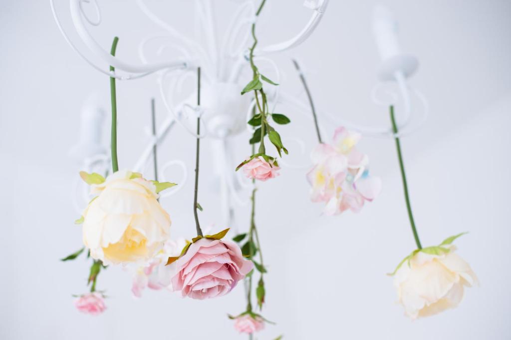 Servus Zagreb town centre - TOP position - 17