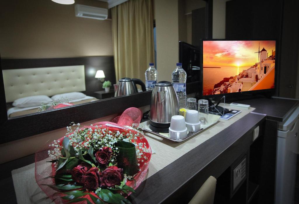 TV a/nebo společenská místnost v ubytování Hotel Epavli