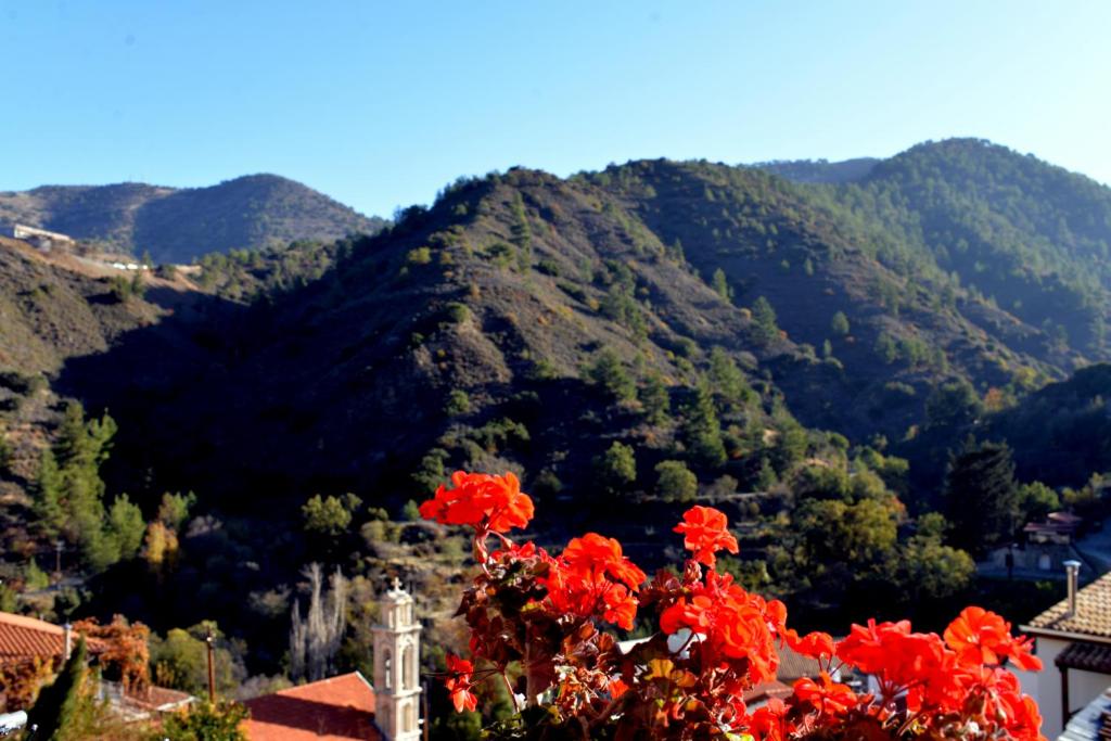 a view of a mountain with red flowers at Kalopanayiotis Museum Studio in Kalopanayiotis