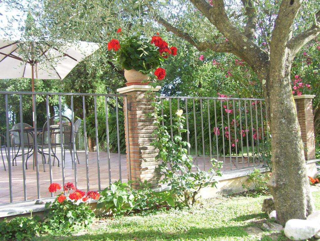 Zahrada ubytování Hotel Del Sole