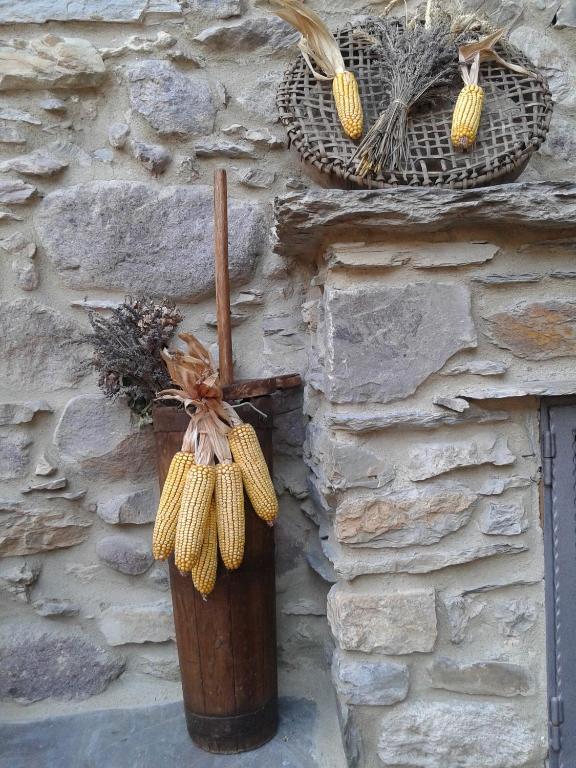 Cibo presso il bed & breakfast o nelle vicinanze