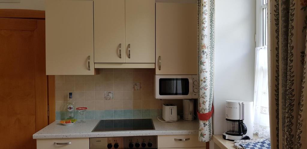 Kuchyň nebo kuchyňský kout v ubytování Haus Elena am Semmering