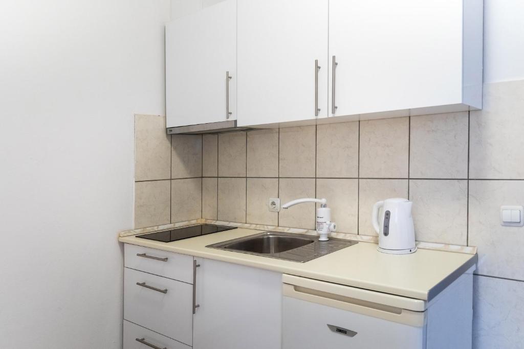 Kuchyň nebo kuchyňský kout v ubytování Villa Suzana