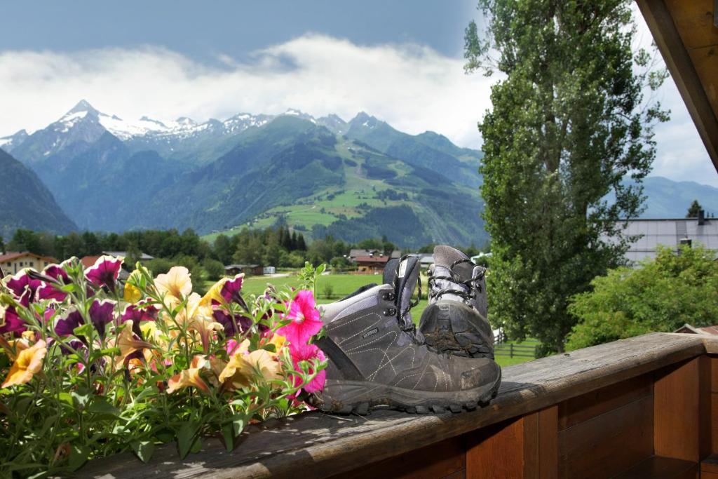 una bota sentada en una cornisa con flores en Haus Südblick en Zell am See