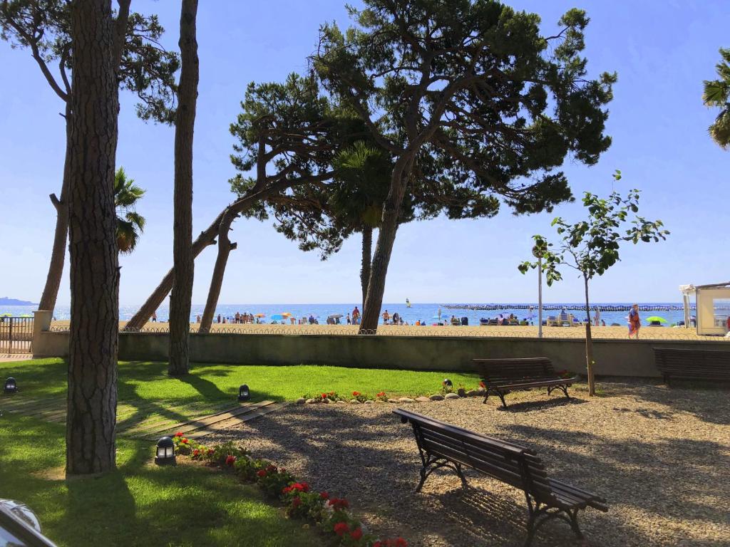 a park with a bench and a view of the beach at Pins i Mar in Cambrils