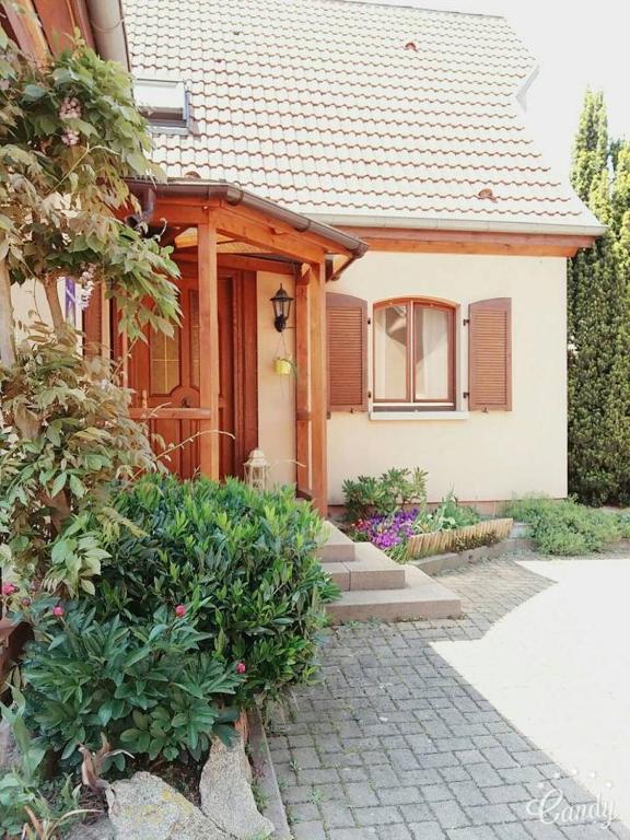 Zahrada ubytování B&B bio new