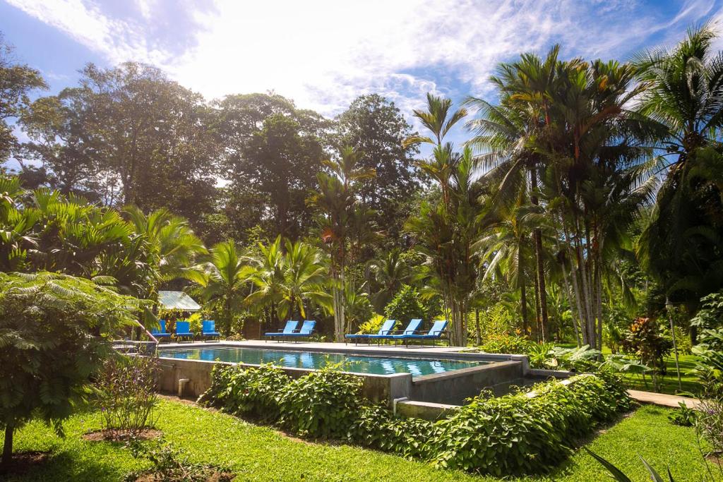 einen Pool in einem Garten mit Stühlen und Palmen in der Unterkunft Passion Fruit Lodge in Cahuita
