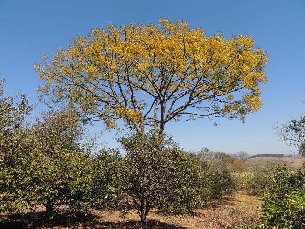  Pousada Sitio da Serra