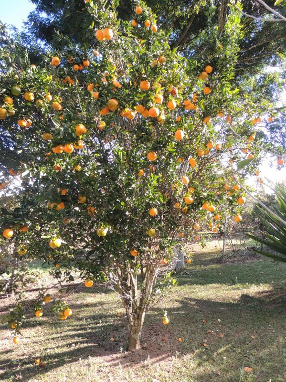  Pousada Sitio da Serra