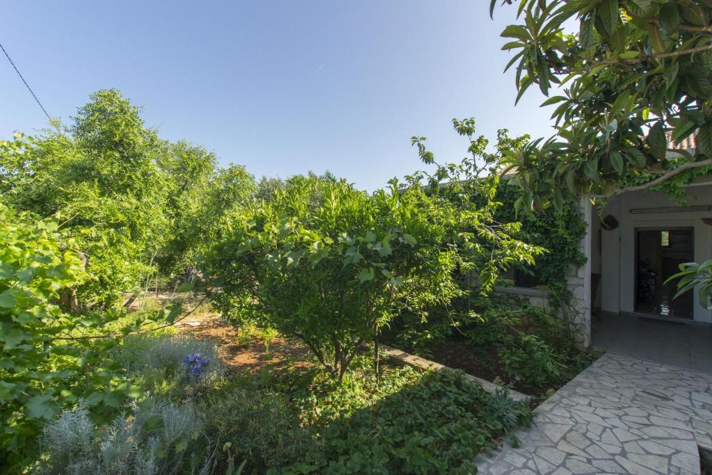 Vonkajšia záhrada v ubytovaní Apartment Alda
