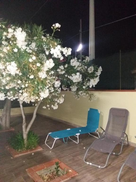 einen blauen Stuhl und einen Baum im Innenhof in der Unterkunft Villa Giada in Campofelice di Roccella