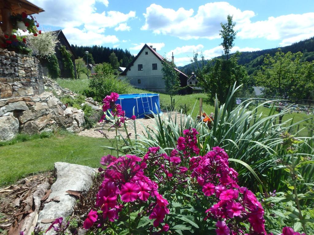 Zahrada ubytování Apartments Večerník Rokytnice