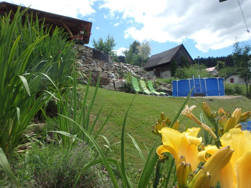 Zahrada ubytování Apartments Večerník Rokytnice