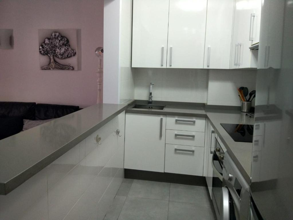 Kuchyňa alebo kuchynka v ubytovaní Precioso Apartamento Frente Al Mar