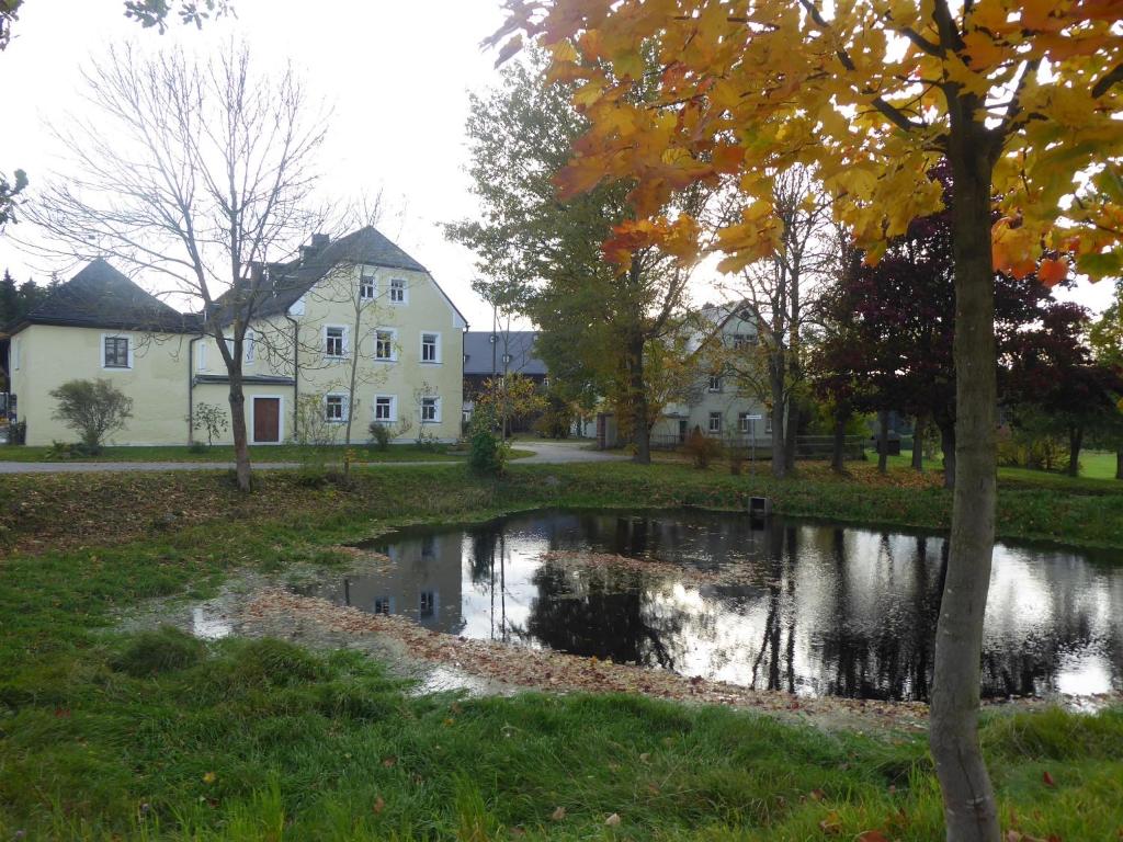 ein Haus und ein Teich vor einem Haus in der Unterkunft Ferienhof Schricker in Marktleuthen