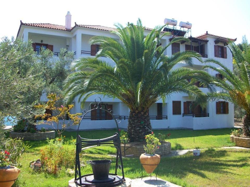 a house with a palm tree in front of it at Villa Maro in Skopelos Town