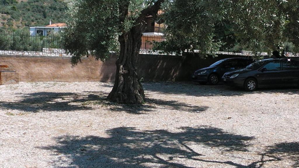 a tree in a gravel parking lot with two cars at Villa Maro in Skopelos Town