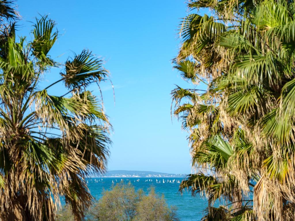 a view of the ocean from between palm trees at Hotel Ciutat Jardi in Palma de Mallorca
