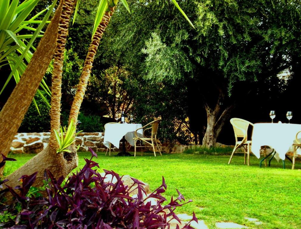 Zahrada ubytování Hotel Cortijo de Salia
