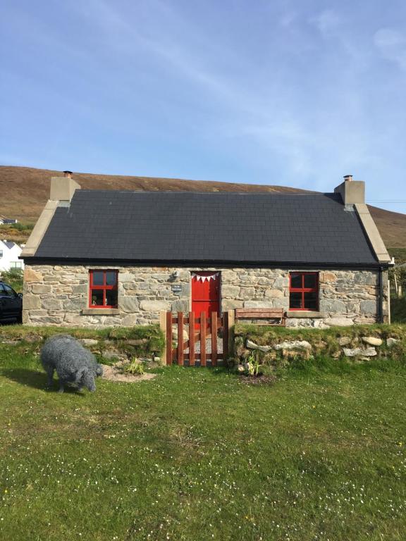 une maison en pierre avec un mouton devant elle dans l'établissement The Old Beach Cottage, Achill, à Doogort