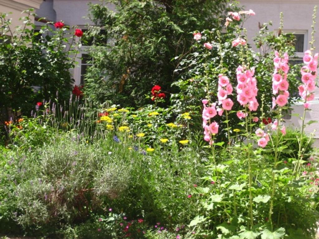 a garden of flowers in front of a house at Apartment Haydnpark in Vienna